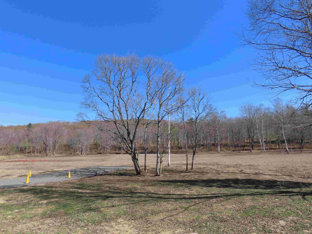 14,621 Tsubo Land for Sale in Rankoshi, Hokkaido - Campground Site - Thumbnail 3