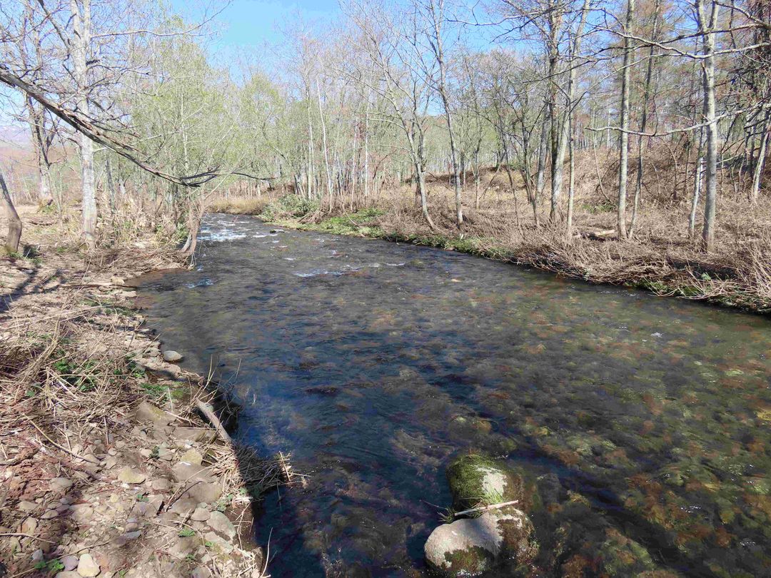 14,621 Tsubo Land for Sale in Rankoshi, Hokkaido - Campground Site - Thumbnail 2