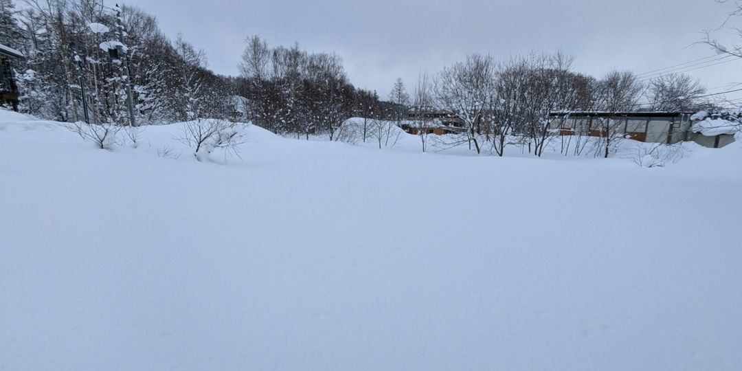 910 Tsubo Land for Sale in Higashiyama, Niseko Village, Hokkaido - Thumbnail 4