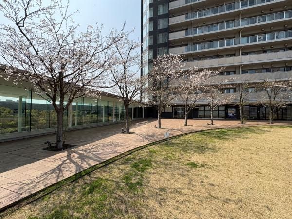 Rivarie B Building 2LDK+WIC+N Apartment in Kawasaki - Thumbnail 2