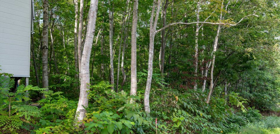 Soga Land for Sale – 331 sqm – Niseko - Thumbnail 3