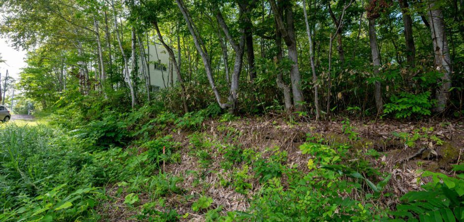 Soga Land for Sale – 331 sqm – Niseko - Thumbnail 4