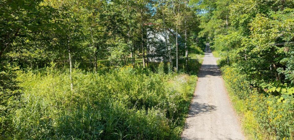 662 sqm Land for Sale in Kondo, Niseko Town - Thumbnail 2