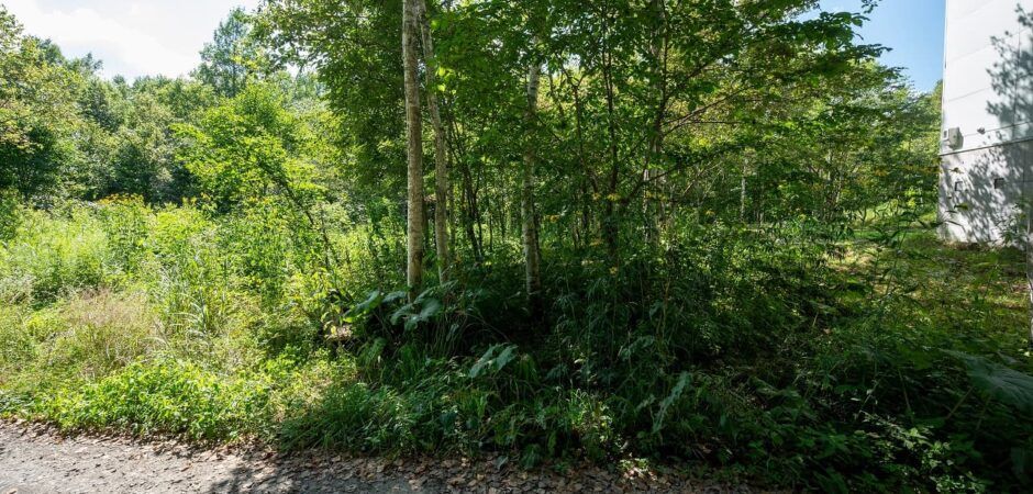 662 sqm Land for Sale in Kondo, Niseko Town - Thumbnail 3