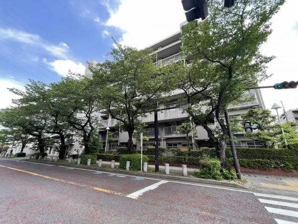 Renovated 3LDK Apartment 60.62m² in Tsurumi, Yokohama - Thumbnail 3