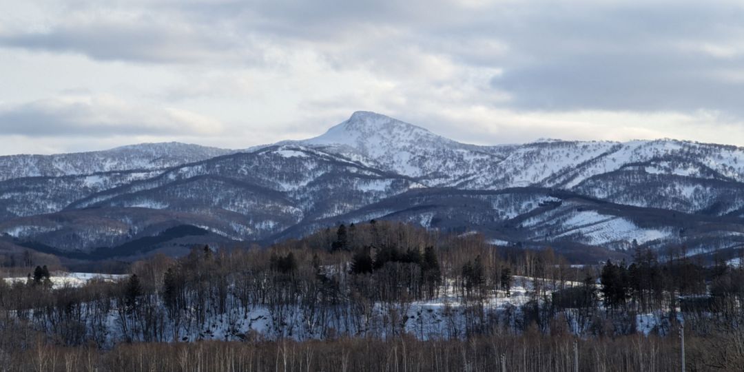 1.2 Hectare Land for Sale in Niseko Town with Mountain Views - Thumbnail 2