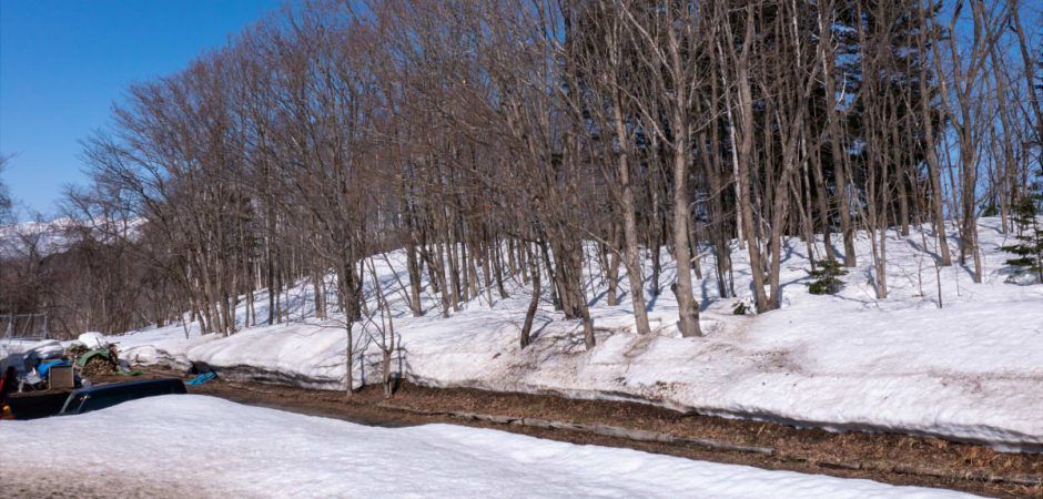 661 sqm Land Plot for Sale in Niseko Town, Hokkaido - Thumbnail 2