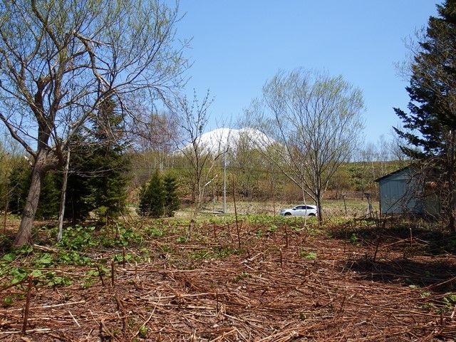 Flat Land for Sale in Niseko, Hokkaido with Mt. Yotei Views - Thumbnail 2