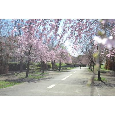 New 3LDK House in Kodaira, Tokyo – 91.93m² — Land, Kodaira, Tokyo