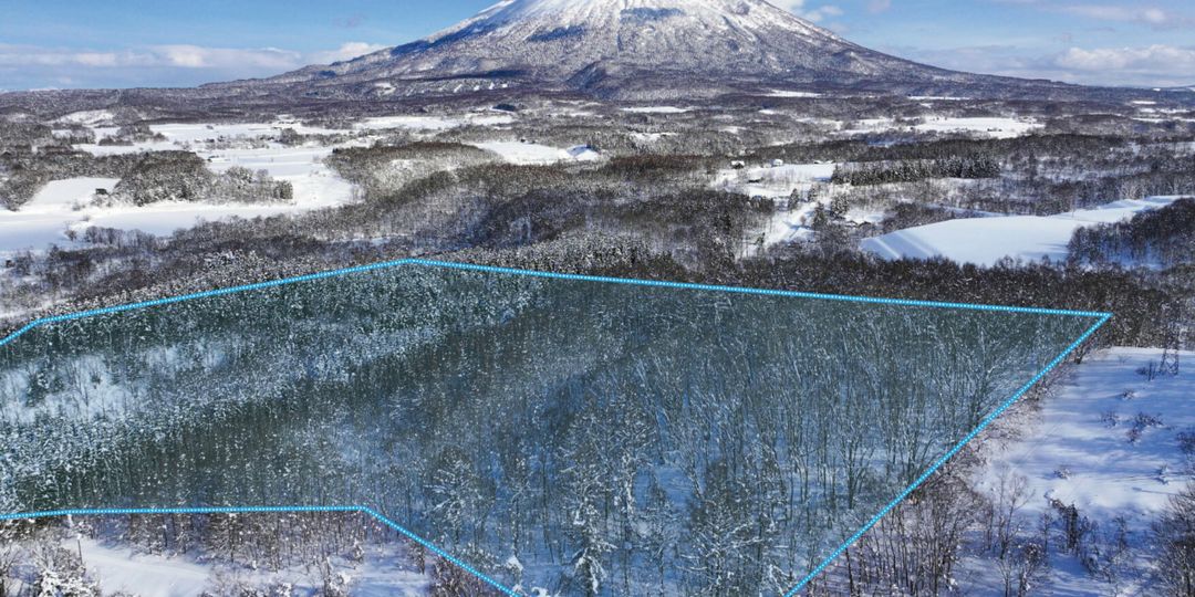 6 Hectare Villa Development Land for Sale in Niseko, Hokkaido - Thumbnail 2