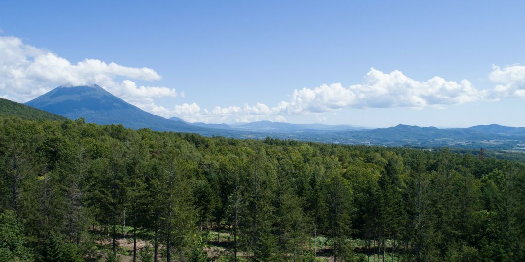 Land for Sale in Niseko Annupuri, Hokkaido - Thumbnail 2