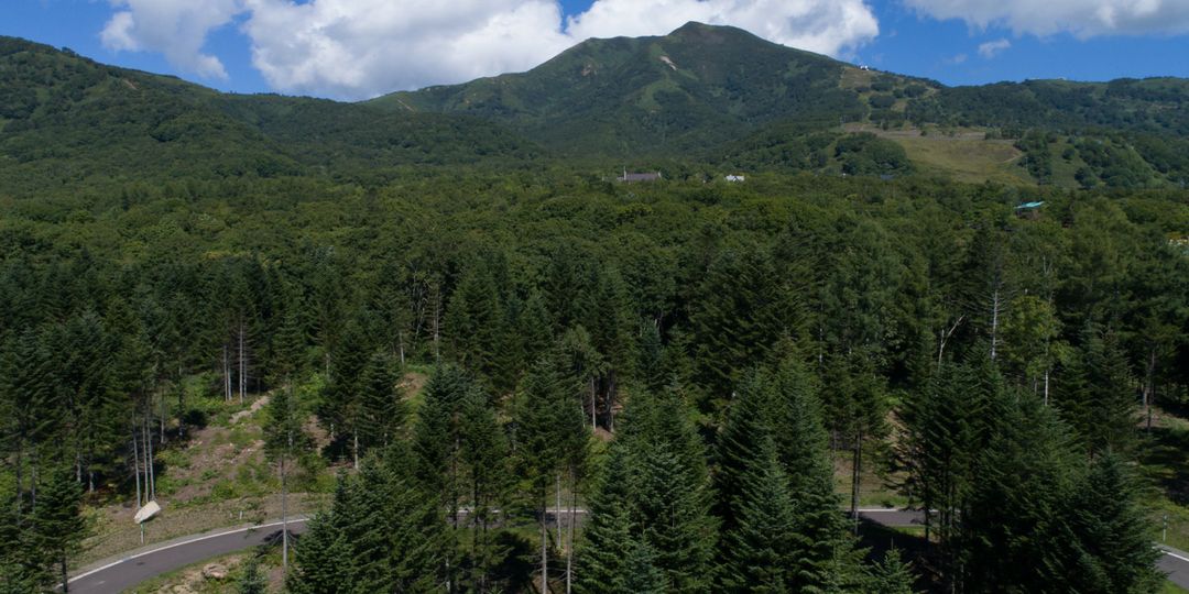 Land for Sale in Niseko Annupuri, Hokkaido - Thumbnail 4