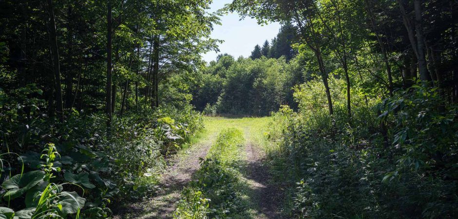 3,831 sqm Private Land for Sale in Kabayama, Niseko - Thumbnail 4