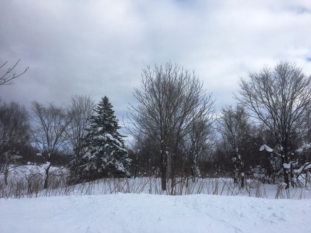 Land for Sale in Niseko, Hokkaido - 692.97 sqm Plot - Image 1