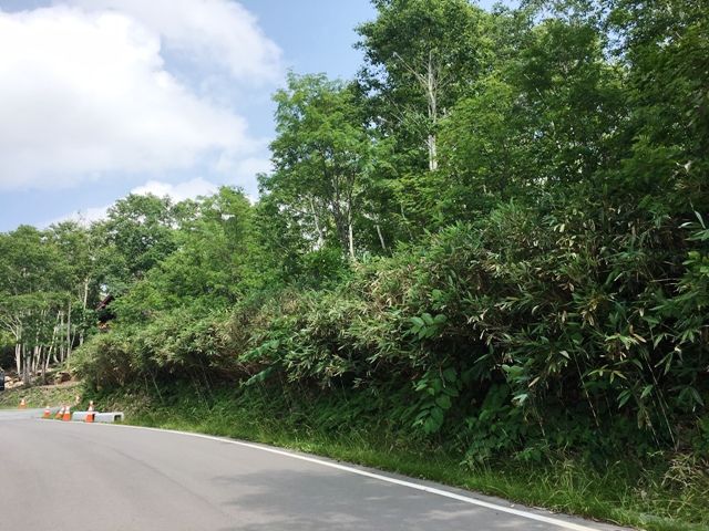 Hinodegaoka ONSEN Premium Land for Sale in Rankoshi, Hokkaido - Thumbnail 2