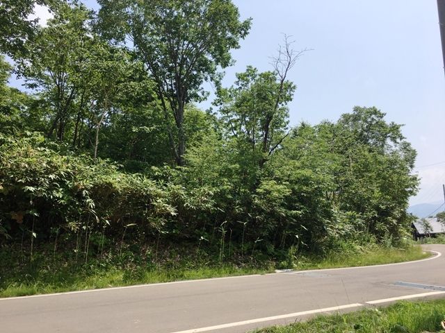 Hinodegaoka ONSEN Premium Land for Sale in Rankoshi, Hokkaido - Thumbnail 3