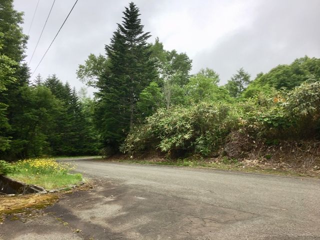 Land for Sale in DOCTORSVILLAG Yurisato, Rankoshi, Hokkaido - Thumbnail 4