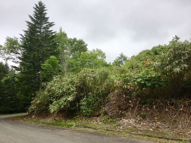 Land for Sale in DOCTORSVILLAG Yurisato, Rankoshi, Hokkaido - Thumbnail 3