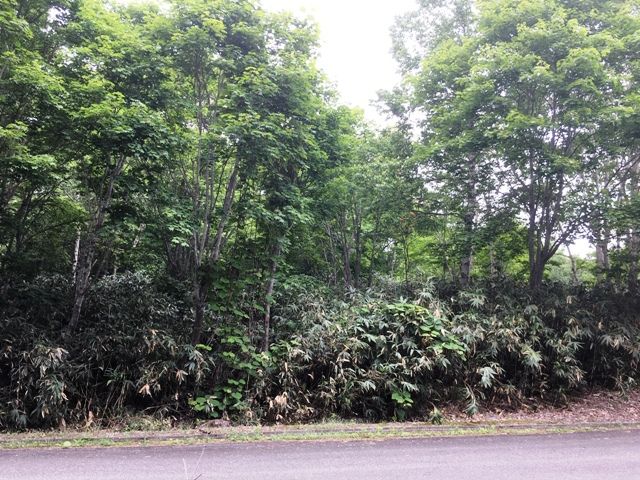Land for Sale in DOCTORSVILLAG Yurisato, Rankoshi, Hokkaido - Thumbnail 2