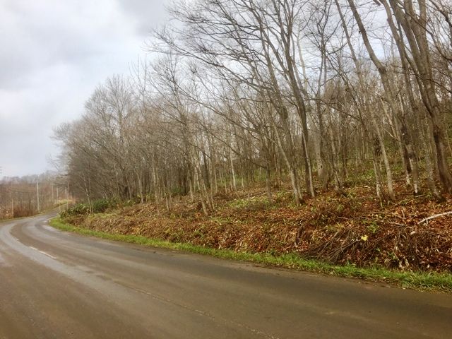 FORESTLAND Soga 2594 Land for Sale in Niseko, Hokkaido - Thumbnail 4