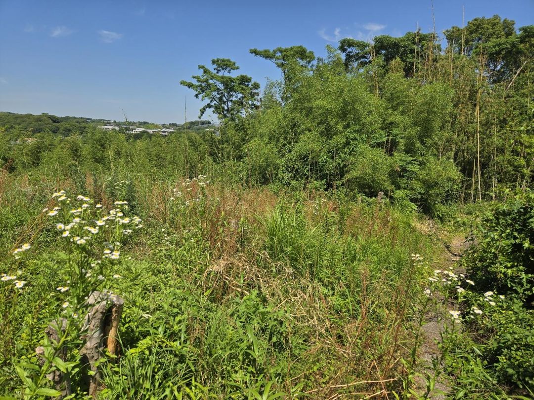 513 sqm land for sale in Isahaya, Nagasaki - Thumbnail 3
