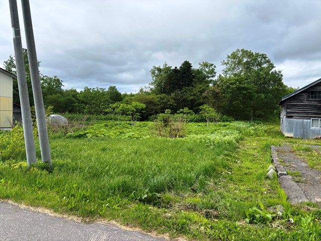 Land for Sale in Niseko with Mount Yotei Views - 2,131 sqm - Thumbnail 3