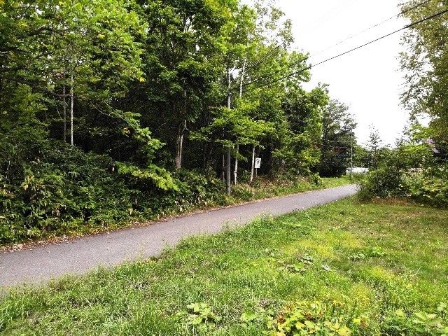 Land for Sale in Rankoshi, Niseko - 4,182 sqm Plot with Private Water - Thumbnail 3