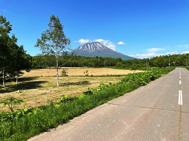 Land for Sale in Makkari with Mount Yotei Views - 1312 sqm - Thumbnail 4