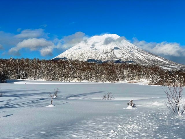 Land for Sale in Makkari with Mount Yotei Views - 1312 sqm - Thumbnail 2