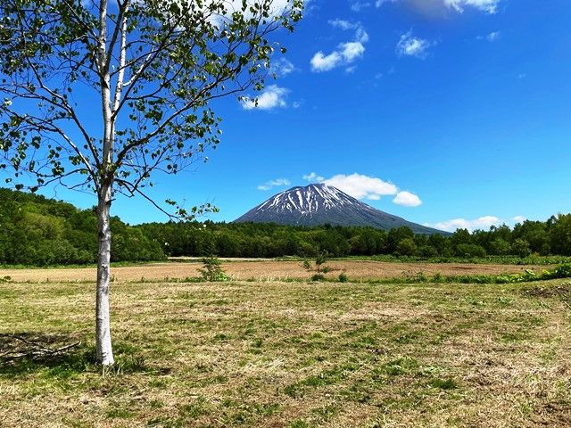 Land for Sale in Makkari with Mount Yotei Views - 1312 sqm - Thumbnail 3