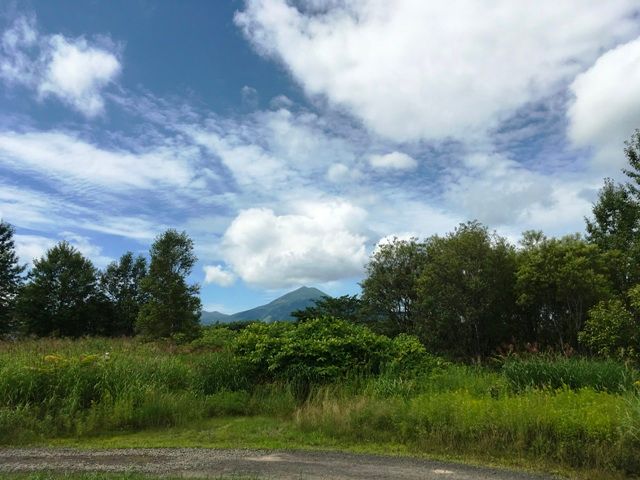 Land for Sale in Niseko with Mount Yotei Views - 1,512 sqm - Thumbnail 2