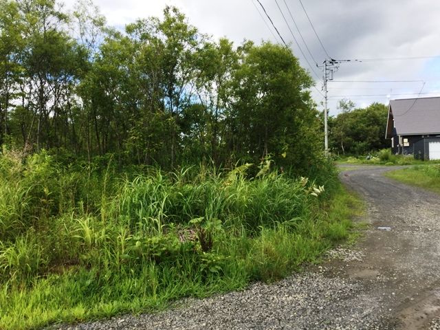 Land for Sale in Niseko with Mount Yotei Views - 1,512 sqm - Thumbnail 4