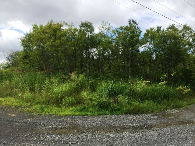 Land for Sale in Niseko with Mount Yotei Views - 1,512 sqm - Thumbnail 3