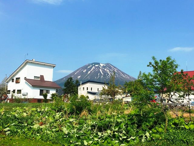 REASONABLE HOUSE Fujimi for Sale in Niseko with Mount Yotei View - Thumbnail 4