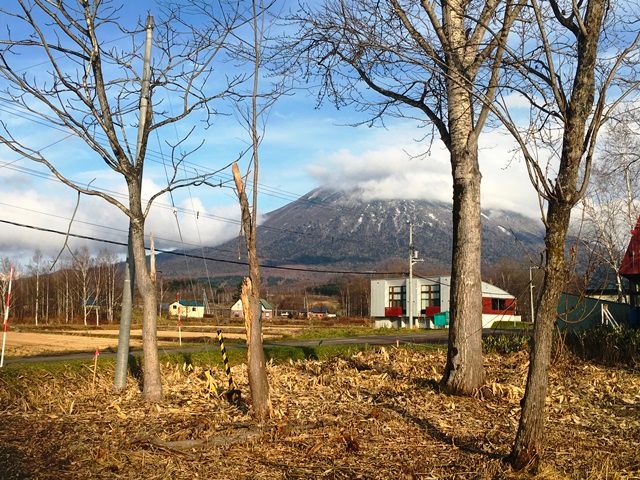 Land for Sale in Niseko with Mount Yotei Views - 538 sqm - Thumbnail 2