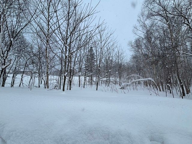 1059 sqm Land for Sale in Kabayama, Niseko Area, Hokkaido - Thumbnail 3