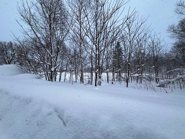 1059 sqm Land for Sale in Kabayama, Niseko Area, Hokkaido - Thumbnail 2