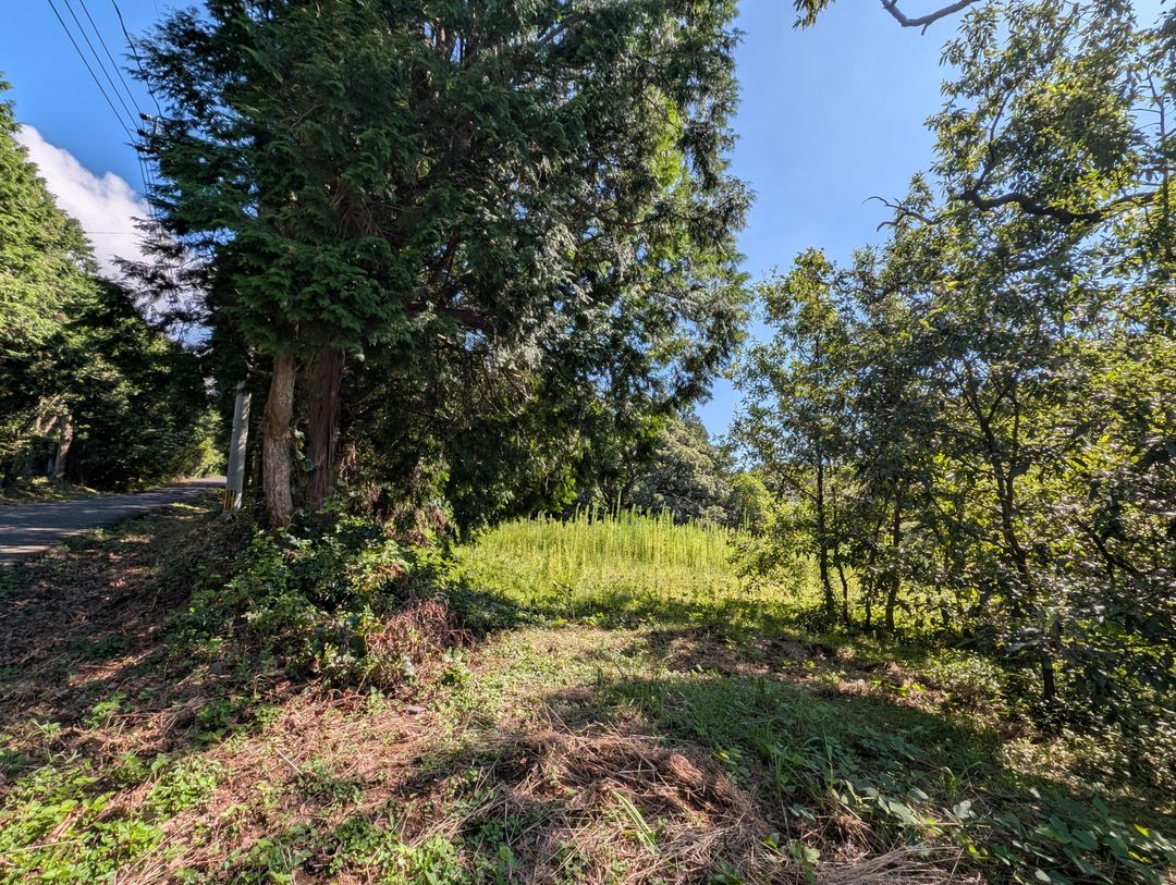 9,148 sqm Land for Sale in Isahaya, Nagasaki - Thumbnail 3