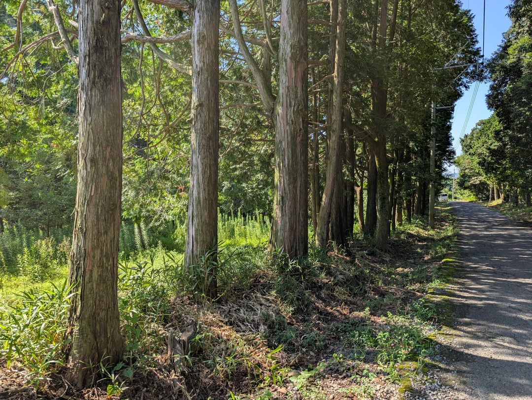 9,148 sqm Land for Sale in Isahaya, Nagasaki - Image 1