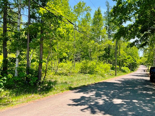 1,119 sqm Vacant Land for Sale in Niseko, Hokkaido - Thumbnail 2