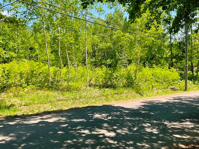 1,119 sqm Vacant Land for Sale in Niseko, Hokkaido - Thumbnail 3