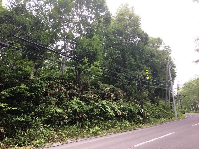 ParkSide Niseko 2143 - 7,086 sqm Land for Sale in Hokkaido - Thumbnail 3