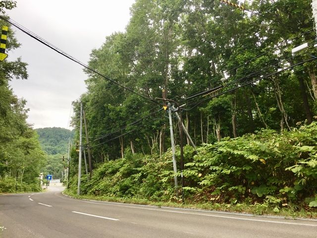 ParkSide Niseko 2143 - 7,086 sqm Land for Sale in Hokkaido - Thumbnail 2