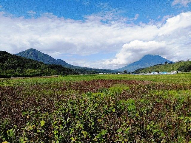 Land for Sale in Kimoibetsu with Mount Yotei Panorama - Thumbnail 2