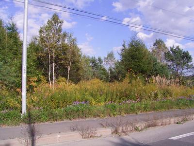 Land number [32] | Properties for sale in Abira Town | Hokkaido's relaxed lifestyle — Land, Abira, Hokkaido