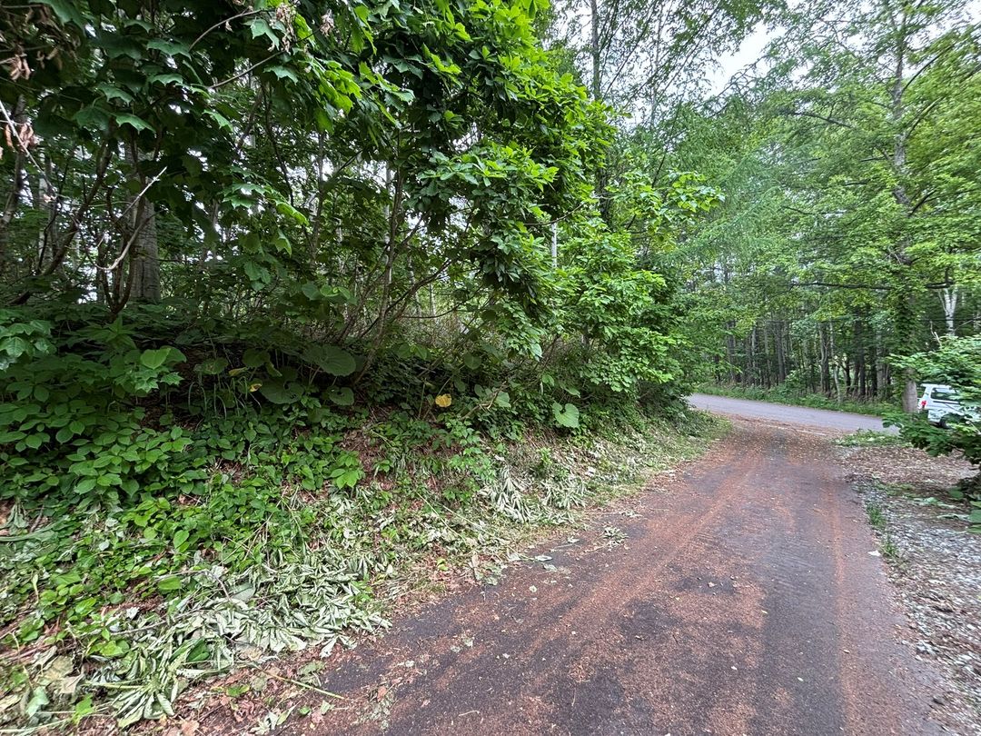 Land for Sale in Rankoshi, Niseko - HighGrade Villa Yuri 81 - Thumbnail 3