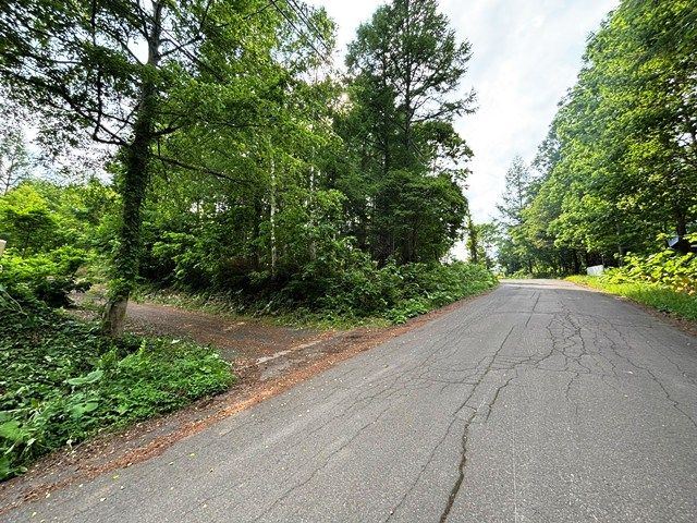 Land for Sale in Rankoshi, Niseko - HighGrade Villa Yuri 81 - Thumbnail 2