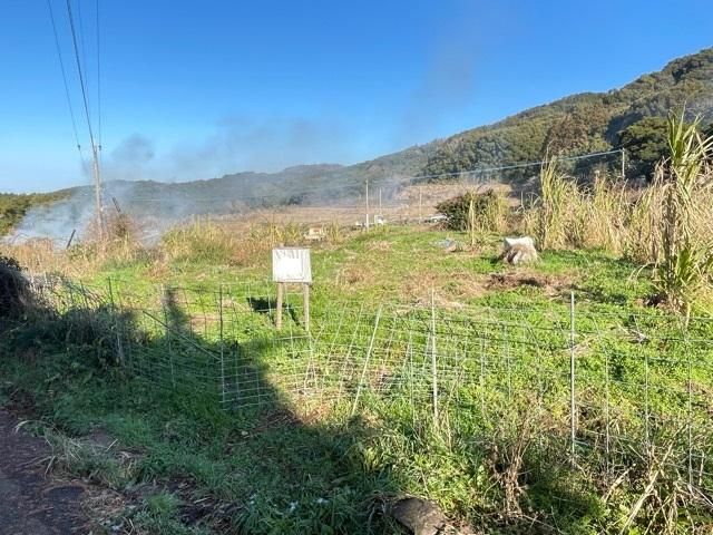 312 Tsubo Land for Sale in Omura City, Nagasaki - Thumbnail 2