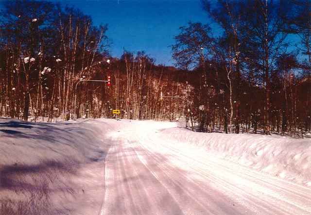 FOREST Makkari 2500 Land for Sale in Hokkaido - 8267 sqm - Thumbnail 4