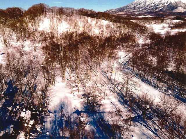 FOREST Makkari 2500 Land for Sale in Hokkaido - 8267 sqm - Thumbnail 3